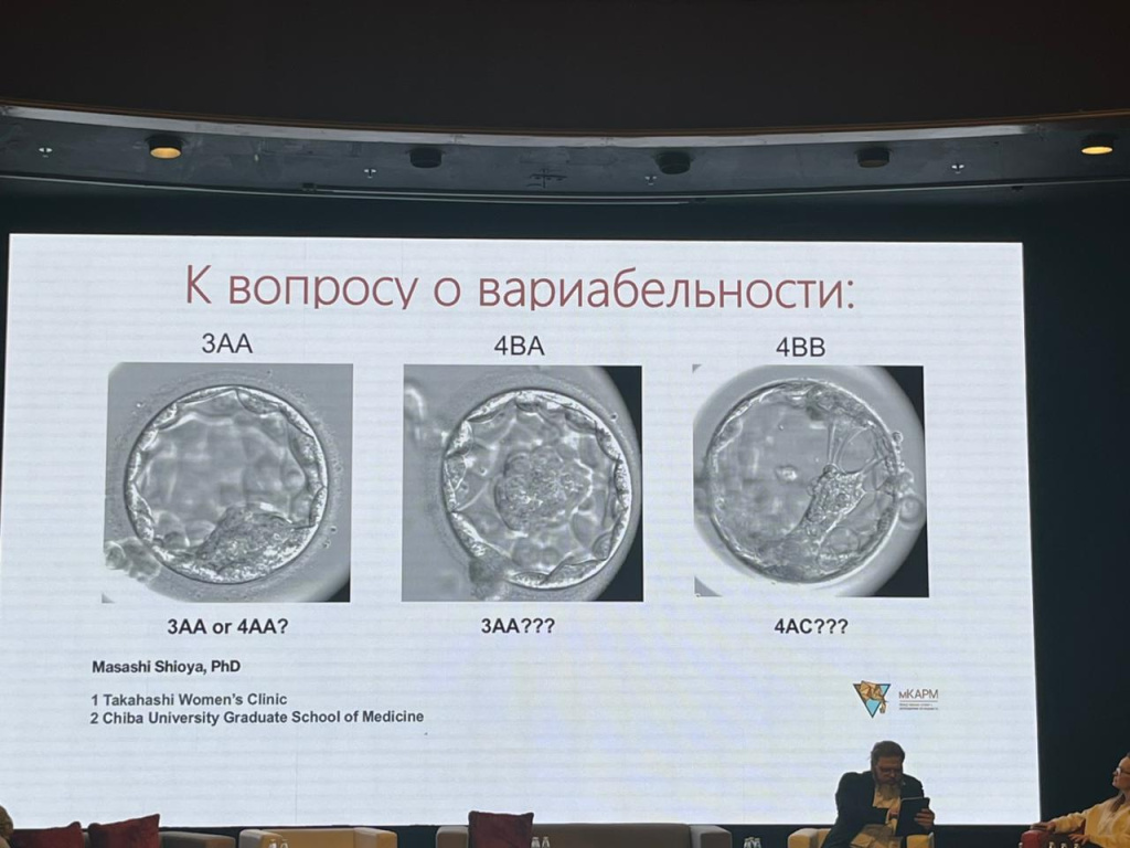 Изображение_WhatsApp_2025-12-10_в_12.44.24_7b3bdaf3.jpg